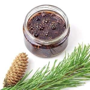 kozalak surubu cam kozalagi surubu cam kozalak surubu cam kozak surubu cam surubu yesil kozalak suru