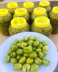 tas kirma zeytin hataydan