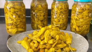 bahçe biberi turşu